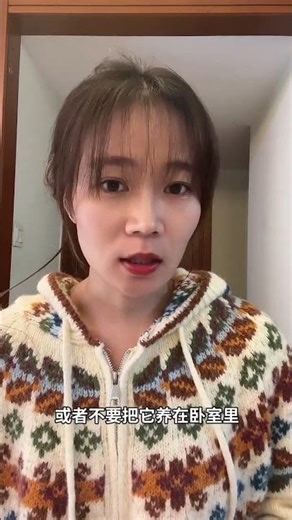 5 Must-Reads Before You Adopt a Hamster! Avoid Regret