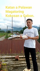 Puting kalapatik #goodmorning #everyone #followers #nonfollowers #highlights | Saidali Salic