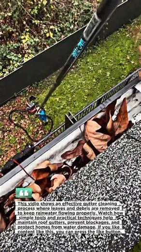 Easy Roof Maintenance and Leaf Removal Technique