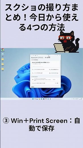 スクショの撮り方まとめ！今日から使える4つの方法：黒猫が教えるWindowsの便利ワザ