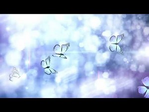 Butterflies are flying Background looping animation Screensaver Wallpaper