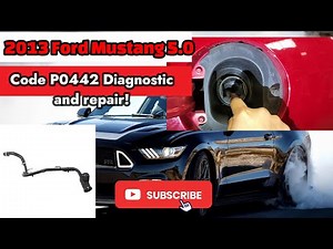 How to remove and install Fuel filler neck on a 2010-2017 Ford Mustang GT 5.0. Code P0442-Evap leak!