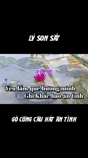Lý Son Sắt - Gò Công Câu Hát Ân Tình #karaoke #lysonsat