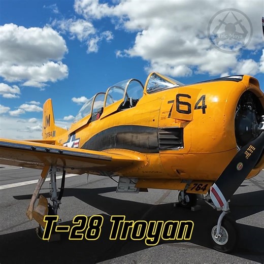 Take a Look at this US Navy T-28 Trojan with its Beautiful Livery #aviation #military #usnavy