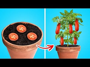EASY HOME GROWING HACKS to make your plants healthy and blossom