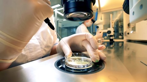 Scientists built living robots from frog cells... then they started reproducing