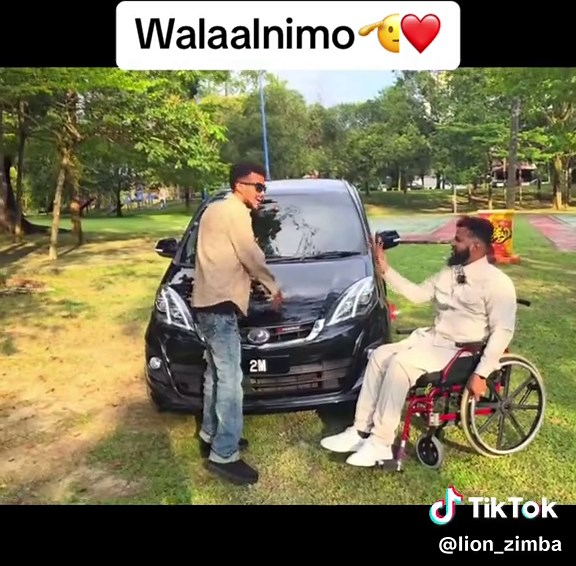 Funny Cat Video Compilation