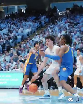 New Bull Zayden High🤘