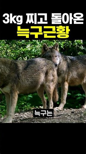 Update on Neukgu, back after gaining 3kg