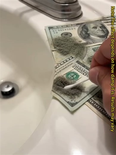 Effective Mold Removal Spray for a Healthier Home