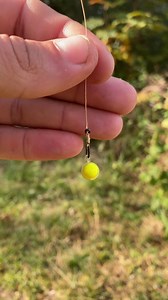 Ice Fishing 101 Essential Gear & Techniques for Winter Anglers