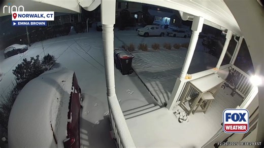 305K views · 3.3K reactions | 'FOX' WEATHER ❄️: Home security camera captures a fox frolicking across a snowy yard in Norwalk, Connecticut as a powerful winter storm dumped snow across the Northeast. Evidently, whether it's rain, snow or sunshine, it's always FOX Weather. | FOX Weather | Facebook