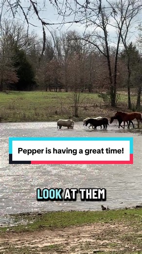 Pepper Enjoys a Fun Week at the Ranch