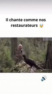 Le cri du coeur de nos restaurateurs | Delicity