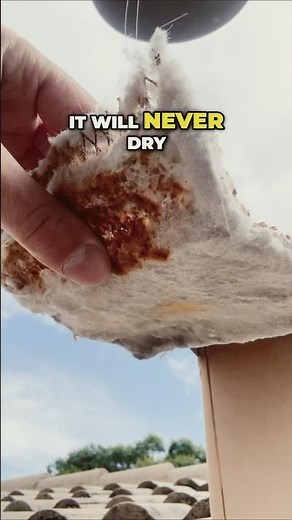 Clogged Dryer Vent: Easy Fix! Roof Obstruction Removed #dryervent #diy