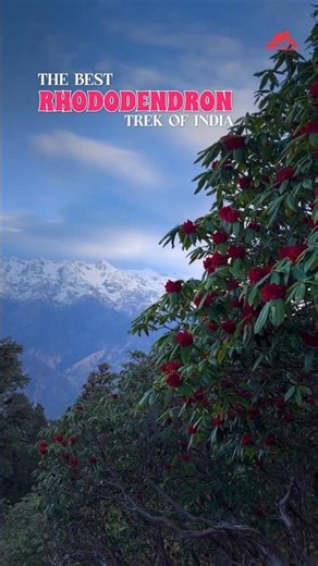 Ranthan Kharak: A Hidden Gem of Kumaon’s Himalayas