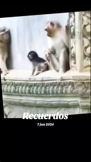 Recuerdos: diálogo corto en lluvia y pelea familiar