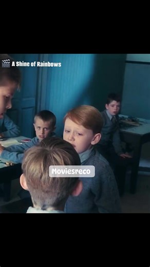 🎬 **Tomas’s Journey in *A Shine of Rainbows*** Tomas, an orphan adopted by Maire O’Donnell, struggles with fear and insecurity under her stern husband, Alec. His timid nature and halting speech disappoint Alec, who disapproves of his gentleness. Despite this, Maire nurtures Tomas’s spirit, teaching him to find magic in nature—like calling seals to send messages to his late mother—and encouraging him to embrace his sensitivity. #Ashineofrainbows #movierecommendation #fbreelsfyp | Princess Jan Ta