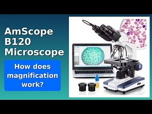 REVIEW (2026): AmScope B120 Microscope. ESSENTIAL details.