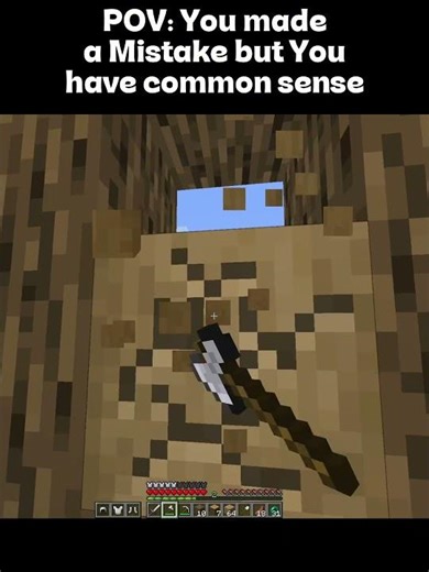 common senseeeeee #original #minecraft #commonsense