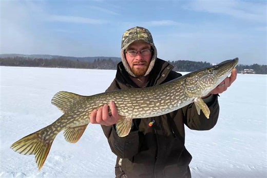 Ice Gators: Battle the Biggest Northerns of Your Life - Game & Fish