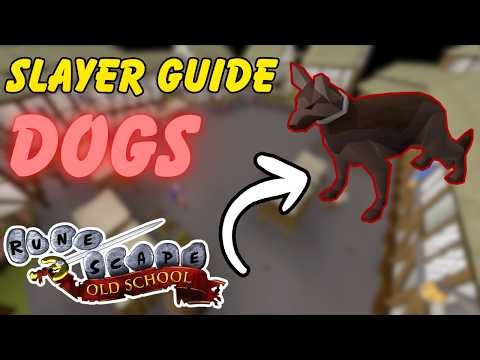 OSRS Dogs Guide – XP Rates, Locations & Tips