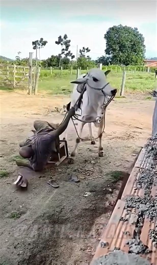 Ranking Best Epic Funny Moments 😂😂 #funny #fails #memes