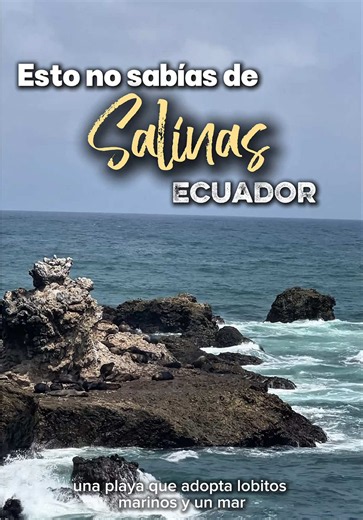 5 cosas que no sabías de Salinas, Santa Elena