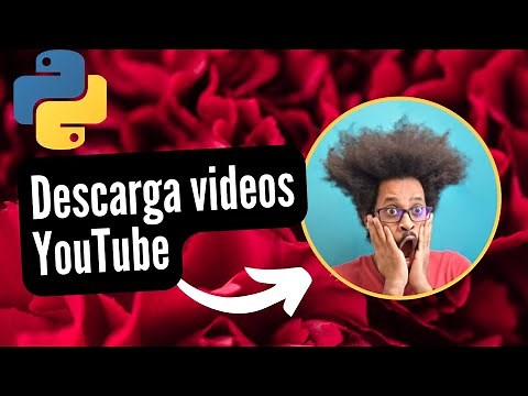 Programa YOUTUBE DOWNLOADER con Python