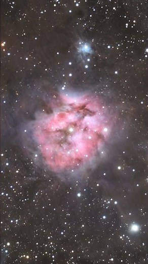 Cocoon Nebula 13 Hours with a 150 mm SCT Telescope #space #astrophotography #nebula #astronomy