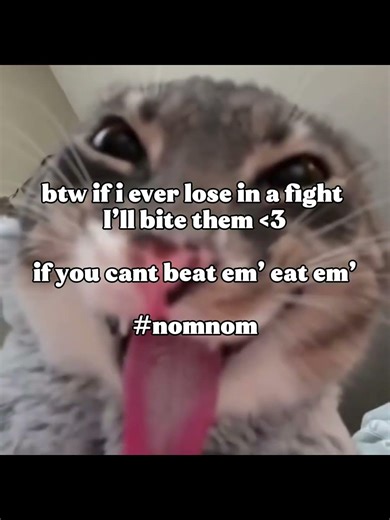 😝😝 #viral #cat #trending #cute #internetmeme #funny #funnycatmeme #nomnom #relatable #cataholic