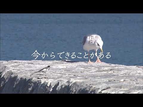 【公式】『テレビ新広島×SDGｓ～未来の笑顔のために篇』