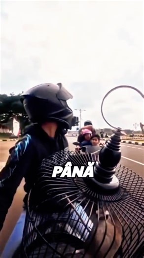 🐦 The Most Beautiful Way to Release Birds