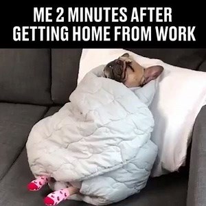 What are your plans Saturday night? Everyone else: "Party Party Party" Me .... | MuscleFood