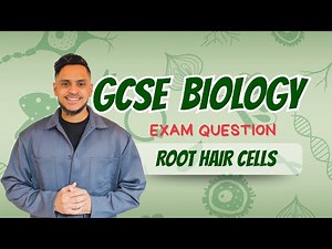 GCSE Biology: Exam Revision | Root Hair Cells