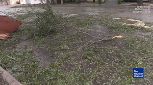 370K views · 6K reactions | Some of the damage caused by Hurricane Matthew in Melbourne, Florida | The Weather Channel | Facebook
