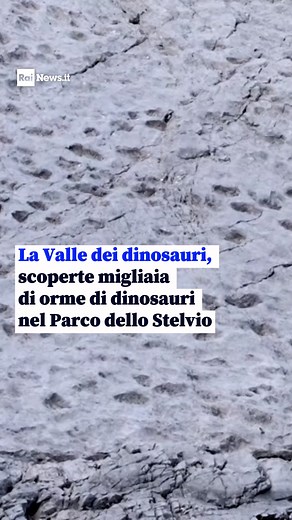 La Valle dei Dinosauri: Un Patrimonio di Evoluzione