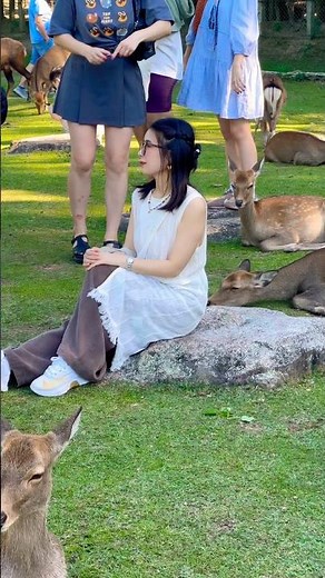 日本の美しい一日 | 奈良公園の魔法の#narapark
