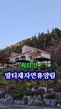 속리산 말티재자연휴양림