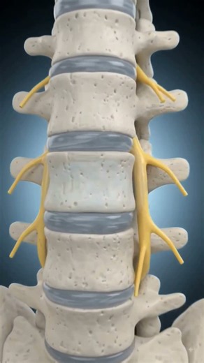What is Sciatica Pain? ⚡ Understand the Nerve Pathway & Causes!
