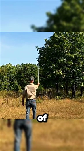 How to measure a tree without a measuring tape? 🌳