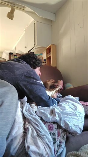 #doggo #pupper #lifechanging #sober #fyp