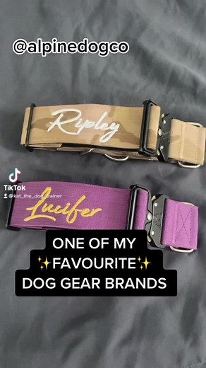 @Alpine Dog Co. #dogtraining #dogtrainer #dogtrainersoftiktok #reactivedogtraining #toronto #torontotiktok #canada #dogsoftiktokviral #dog #dogs #fyp #foryoupage #dogcollar #doggear #tacticalcollar #puppy