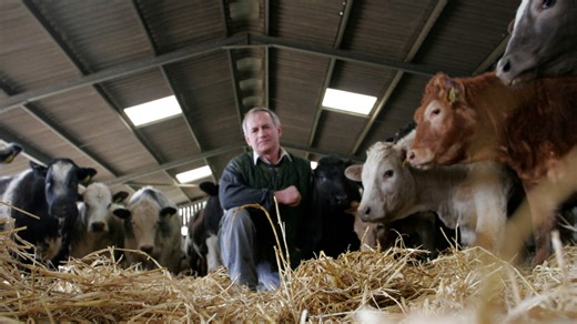 Watch The Lie of the Land - BFI Player