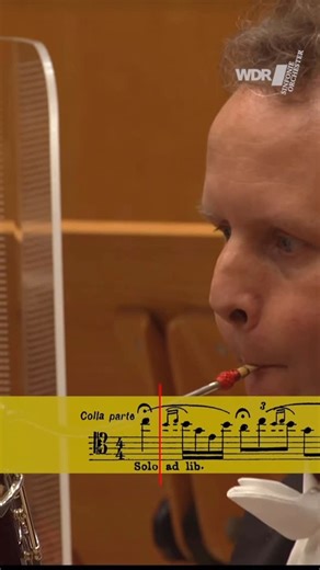 Bassoon Lesson, by Alexandre Silvério on Instagram: "🔥One of the most challenging bassoon solos: “Le Sacre Du Printemps”, by Igor Stravinsky, played by the great Henrik Rabien, solo Bassoon at WDR symphony orchestra. Conductor: Cristian Mācelaru 👀What’s the first thing that comes to mind when you think of Le Sacre du Printemps? #bassoon #fagote #wdr #orchestra #stravinsky"