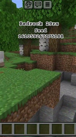 minecraft rair seeds