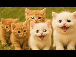 Heartbreaking Moment | Adorable Tiny Kitten Crying Loudly for Mother cat