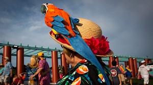 Why Cincinnati loves Jimmy Buffett 🦜