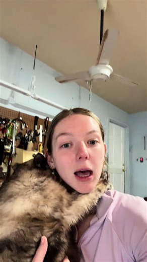 Chester's Pool Swimming Adventure: Part Two