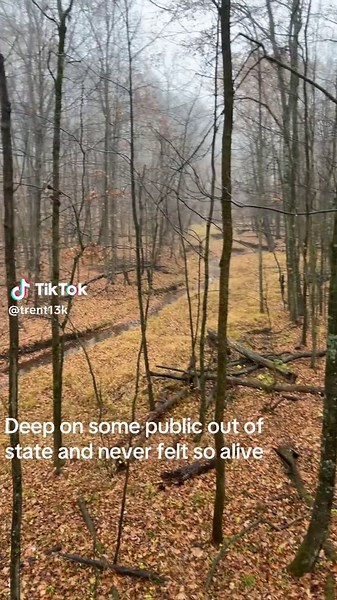 Exploring the Thrill of Mobile Hunting Adventures